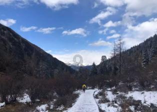 到底该不该主动——知识星球平台